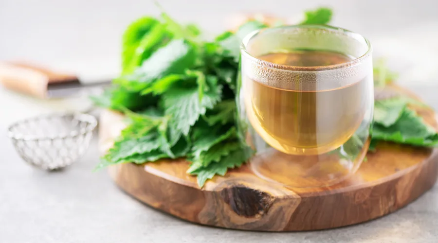 Čaj od koprive u čaši