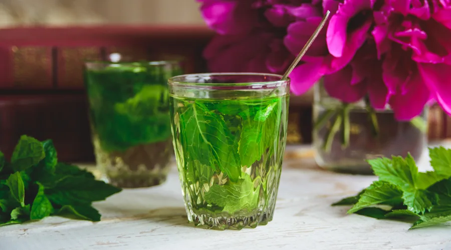 Čaj od nane u čaši