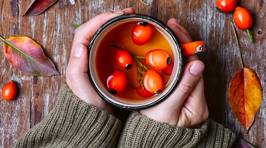 Čaj od šipka u šolji